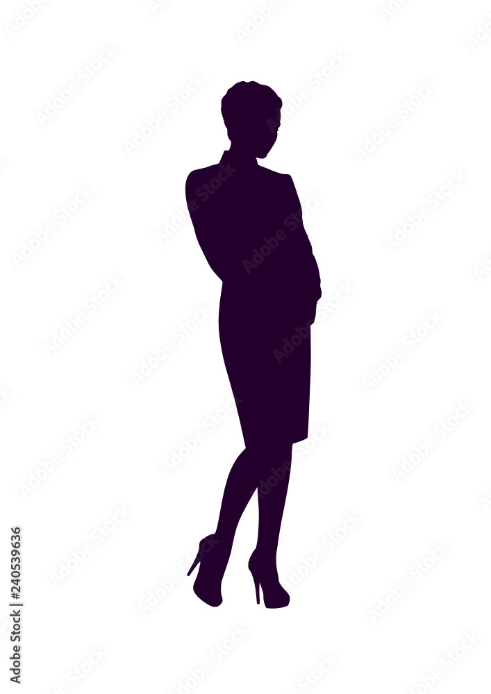 silhouette of a business lady