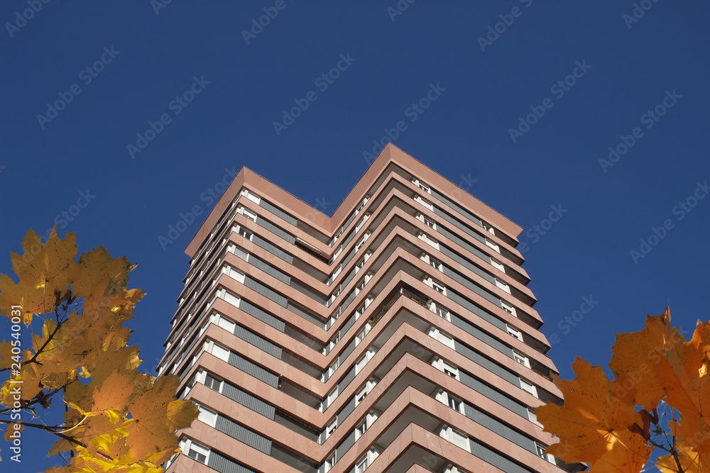 high-rise house and autumn leaves