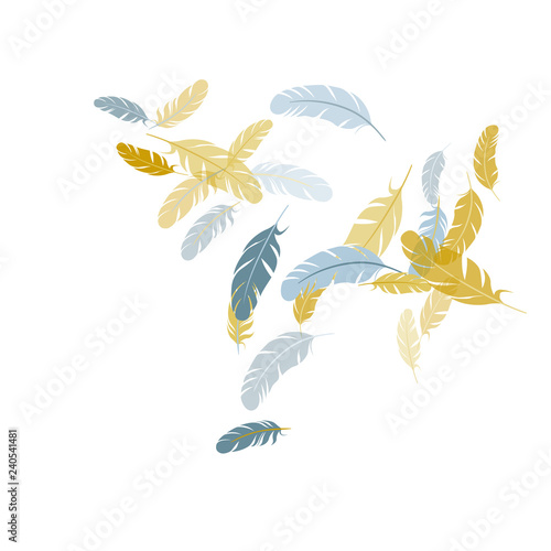 Falling feather elements soft vector design.