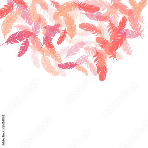 Fluffy twirled feathers on white design.