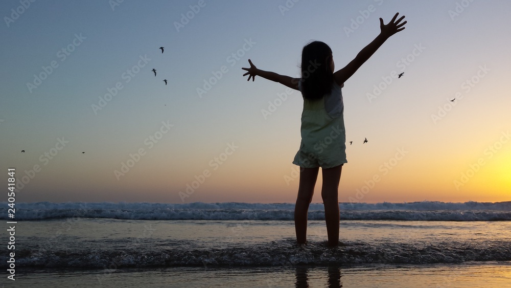 Fototapeta premium menina feliz saúda gaivotas