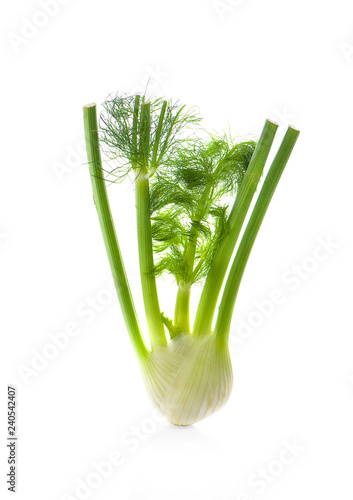 Florence fennel bulbs. Isolated on a white background.