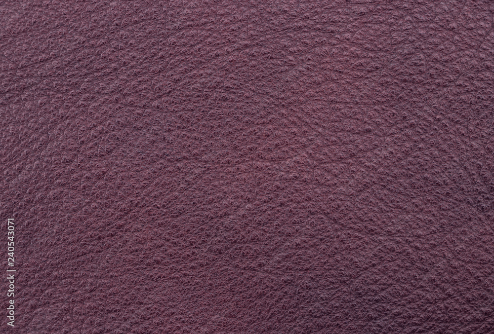 Sample texture of natural leather eggplant color. Material of animal origin. Close-up. Sample texture of natural leather eggplant color. Material of animal origin. Close-up.