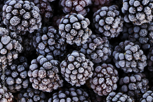 Frozen berries of blackberries. Close-up.