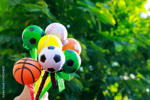 balls of sports on natural green background