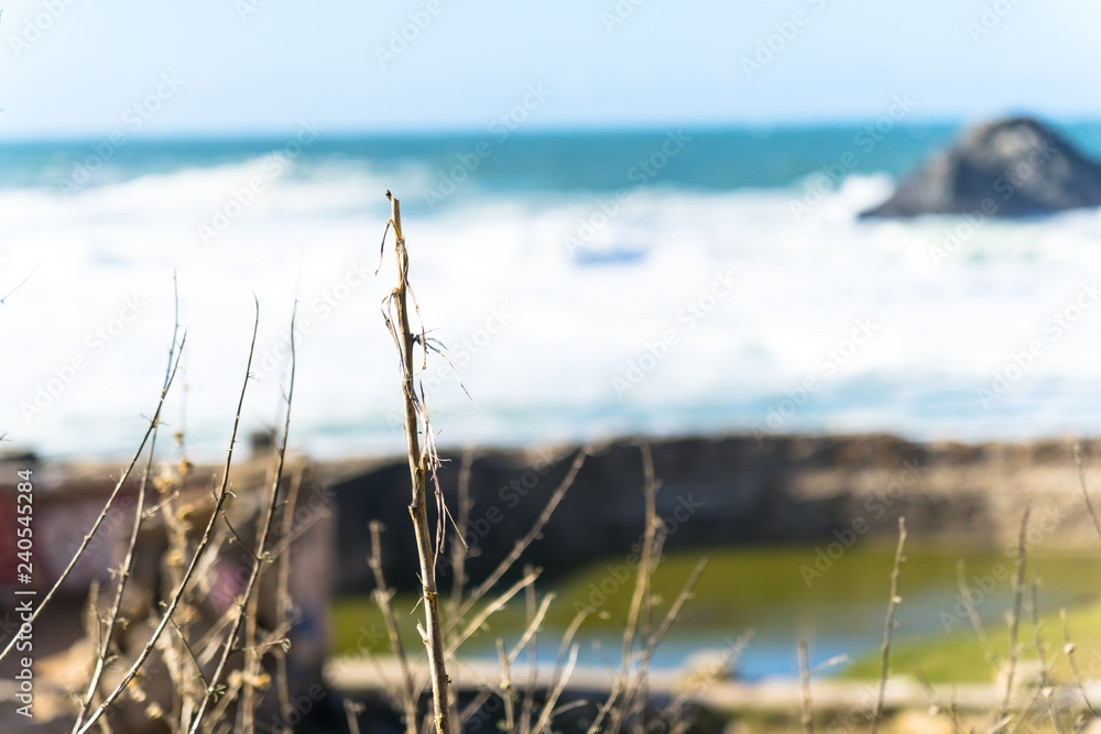 The view of Lands end at San Francisco- San Francisco. summer , cloud , rock , sea, plant. The view of Lands end at San Francisco- San Francisco. summer , cloud , rock , sea, plant.