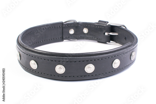 Fotografering Leather dog collar