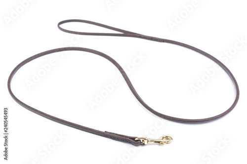 dog leash on white background