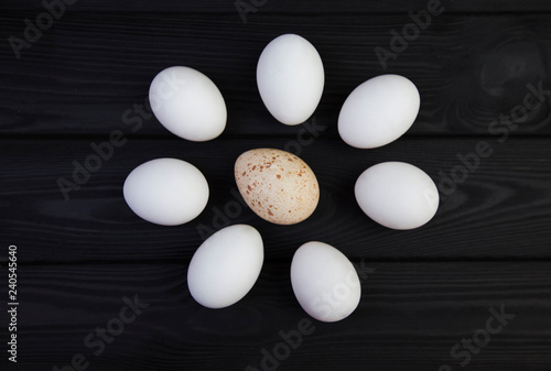 Goose egg and chicken eggs on a black wooden background. The difference in the size of eggs of various birds photo