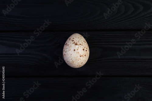 Goose egg on a black wooden background photo