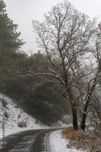 Snow in the mountains of Tehachapi photo