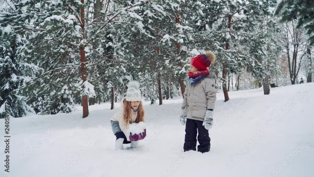 An amusing girl with a large lump of snow in her hands is throwing it up in the park on the background of coniferous trees in the winter near the boy who is watching what is happening. Slow motion. Wi An amusing girl with a large lump of snow in her hands is throwing it up in the park on the background of coniferous trees in the winter near the boy who is watching what is happening. Slow motion. Wi