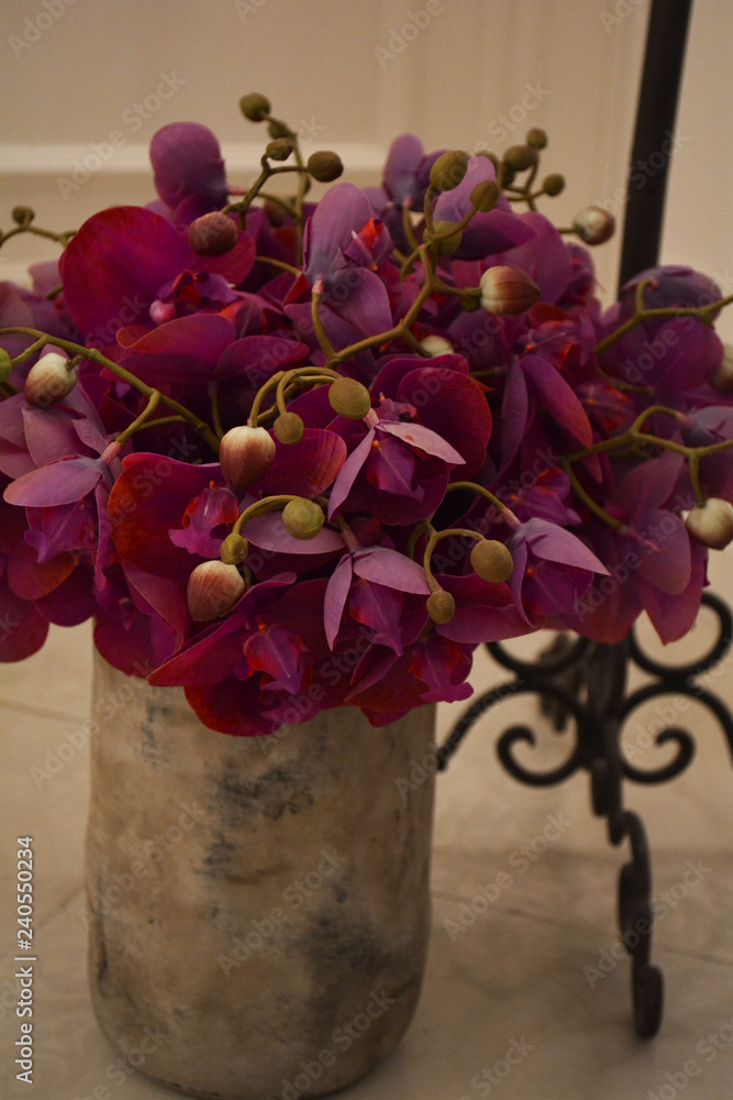 Φωτογραφία beautiful bouquet of purple orchids in a clay vase
