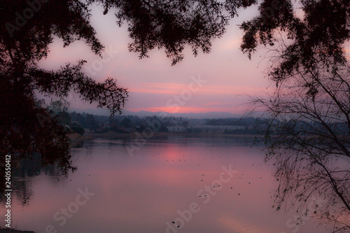 Pink in Lake © Mauricio