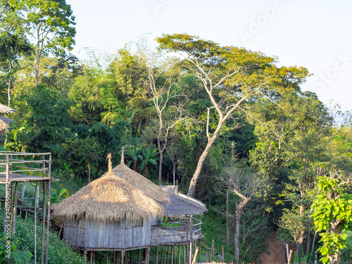 Bamboo house in forest.