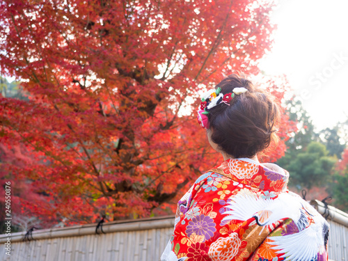 Wallpaper Mural 色打掛　振袖 Torontodigital.ca