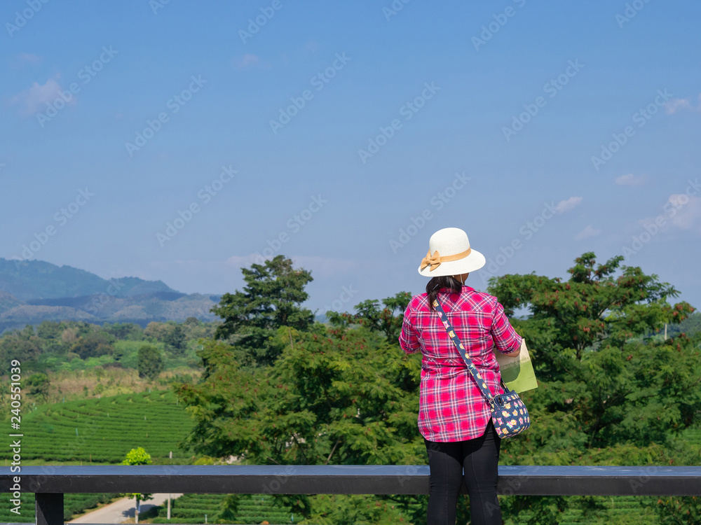 Young asian woman traveling into tea fields. Young woman traveler take a photo of mountain tea field with blue sky background. Freedom Concept.