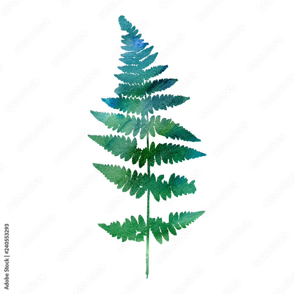 watercolor fern leaf silhouette