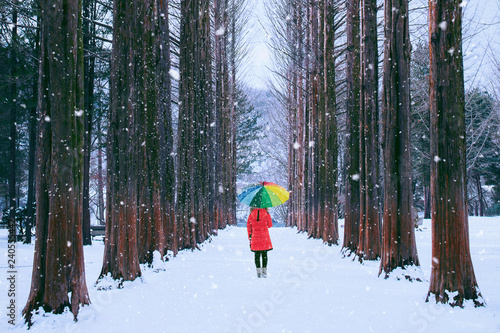 Photography Girl with colourful umbrella in row tree, Nami island in South Korea