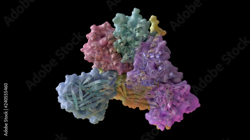 3D CG rendered image of scientifically accurate Enterobacteria Bacteriophage phiX174 Capsid Structure based on PDB : 1CD3 (capsomere)
