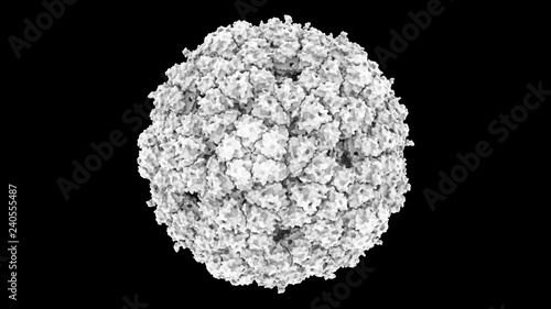 3D CG rendered image of scientifically accurate Enterobacteria Bacteriophage phiX174 Capsid Structure based on PDB : 1CD3 (surface occlusion style)