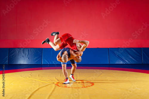 Two young men in blue and red wrestling tights are wrestlng and making a hip throw on a yellow wrestling carpet in the gym. The concept of fair wrestling