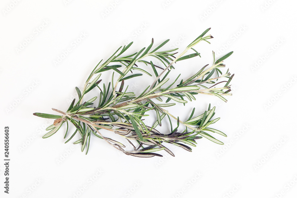 Obraz premium Rosemary Herb green fragrant branch on white background