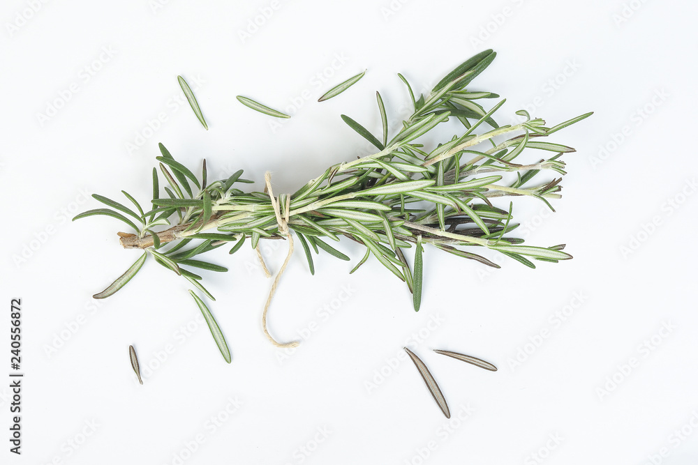 Fototapeta premium Rosemary Herb green fragrant branch on white background