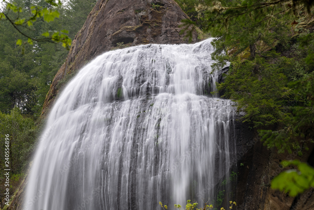 Fototapeta premium The top of Silver Falls at Golden and Silver Falls State Natural Area, Oregon, USA