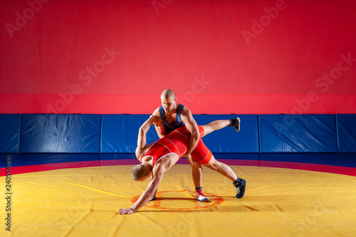 Two greco-roman  wrestlers in red and blue uniform making a suplex wrestling   on a yellow wrestling carpet in the gym. The concept of fair wrestling