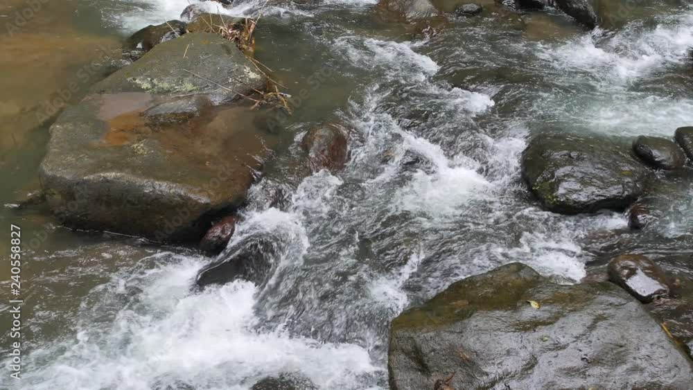 Wild Jungle River Flows in Rain Forest. 4K. Bali, Indonesia. Wild Jungle River Flows in Rain Forest. 4K. Bali, Indonesia.