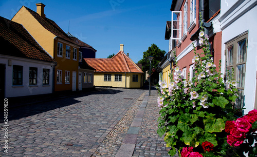 Old houses in Hans Christian Andersens quarter in summertime