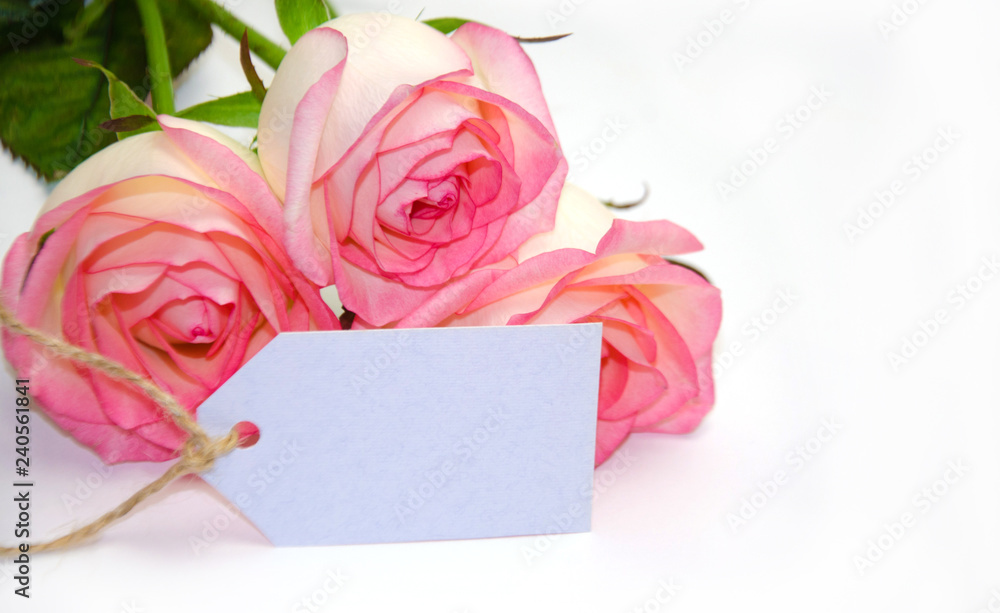 pink roses and tag pattern on white background