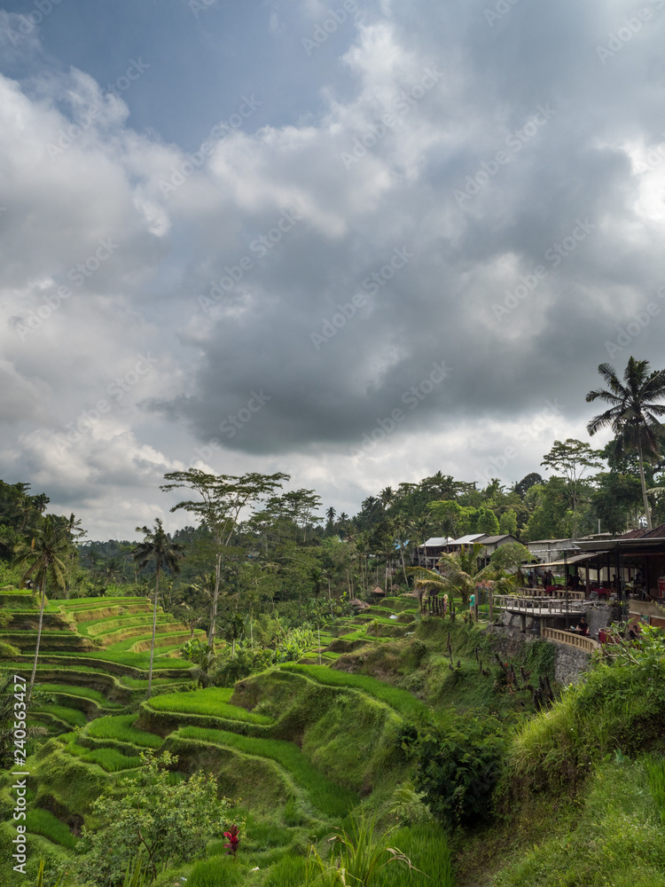 Small pavilions on the terraced rice fields at Tegalalang near Ubud where people eat and drink while admiring the stunning views. Bali, Indonesia, october 2018