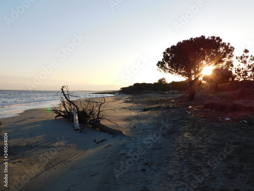 mare desolato in inverno photo