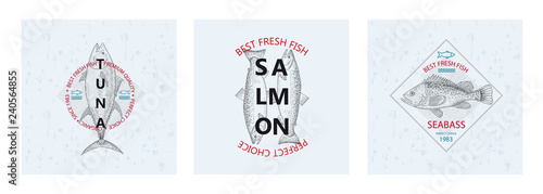 Best fresh fish Tuna, Salmon, Seabass. Vector illustration
