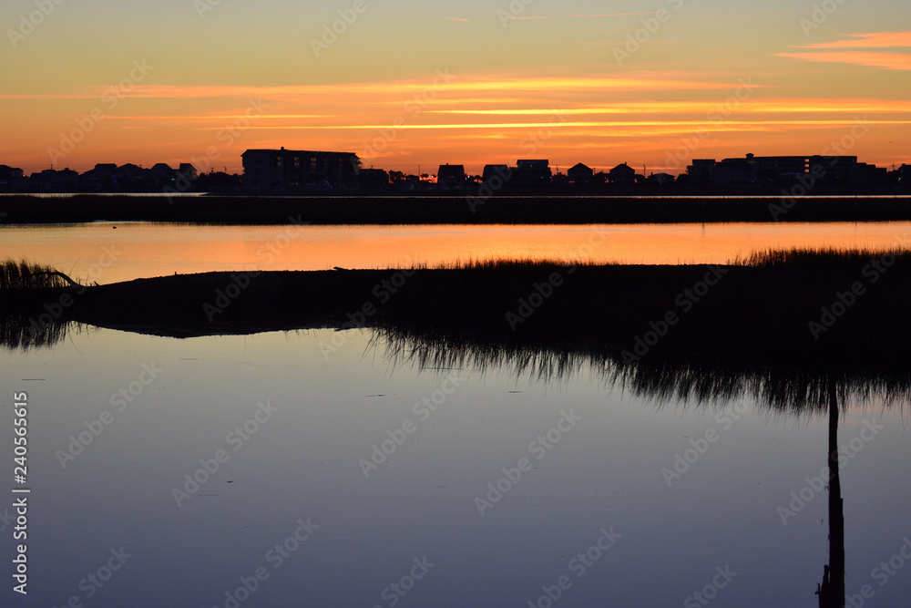 Marsh Life Dawn Marsh Life Dawn