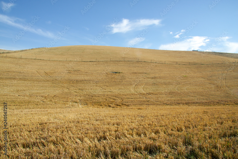 Harvested fields over rolling hills with clouds and blue sky
