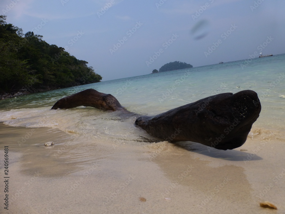 Fototapeta premium treibholz am Strand in Thailand