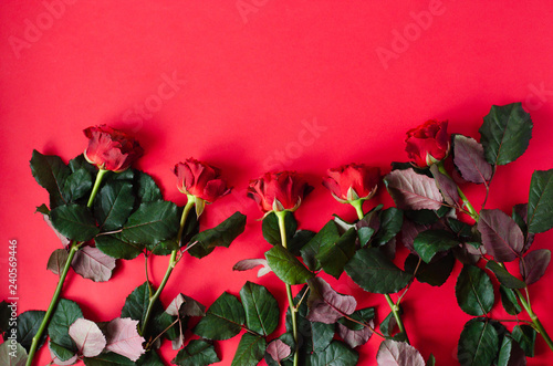 A lot of red roses on a red background.