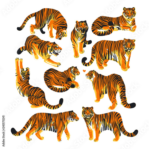 Graphic collection of tigers in different poses.