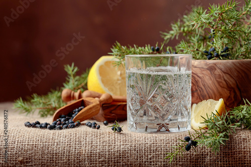 Cocktail gin, tonic with lemon and a branch of juniper with berries. photo