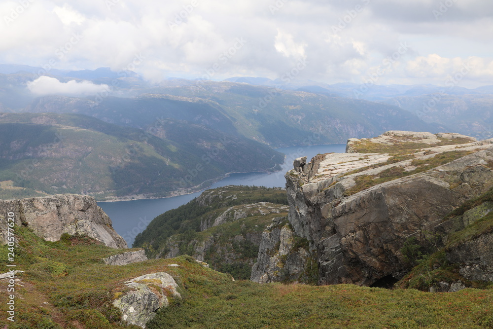 Naklejka premium Skomakarnibba