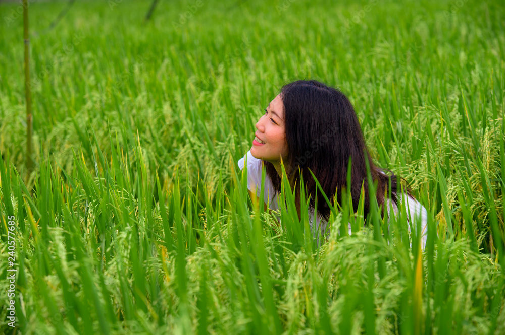 young beautiful and happy Asian Korean tourist girl having fun feeling free at tropical rice field enjoying exotic holidays trip in Asia exploring traditional village young beautiful and happy Asian Korean tourist girl having fun feeling free at tropical rice field enjoying exotic holidays trip in Asia exploring traditional village