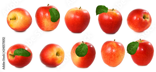 Fototapeta Naklejka Na Ścianę i Meble -  isolated image of apples closeup