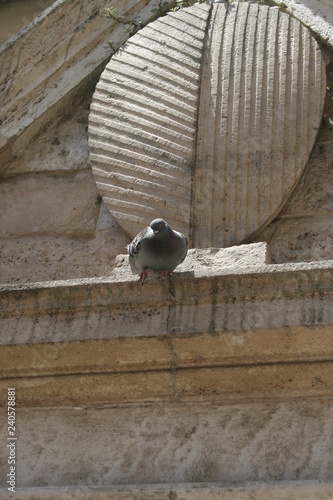 Arezzo e Anghiari photo