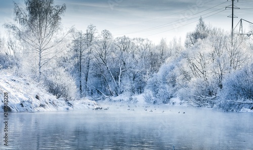 winter landscape with lake and forest