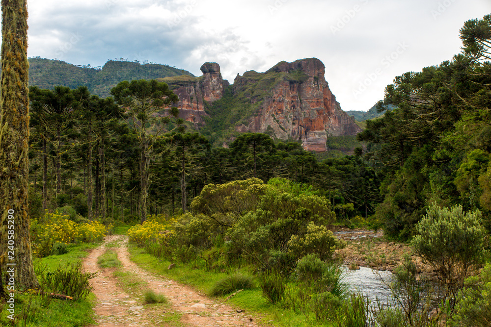 Dirt road next to a river, with forest and Pedra da Aguia mountain in background, cloudy sky, Urubici, Santa Catarina