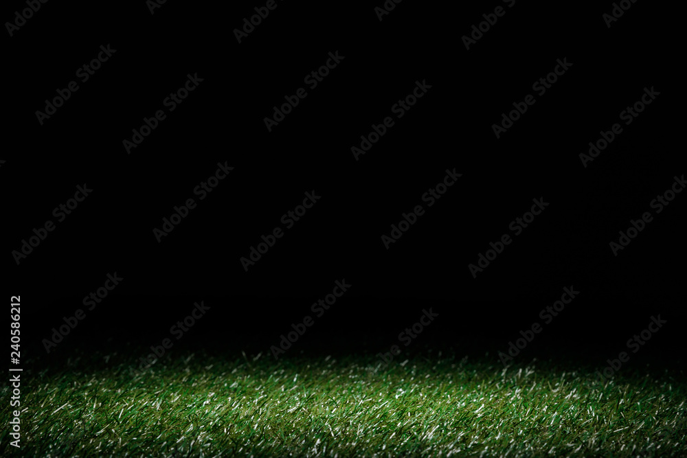 lawn with green grass on black, floral background