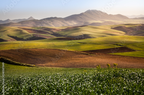 Landscape and nature around  Hamadan, western Iran. One stop during a roadtrip in Iran. meadow and mountains. photo